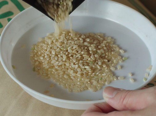 米穀検査　流れ３