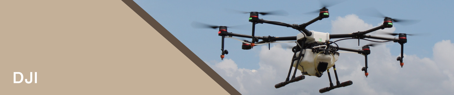 DJI