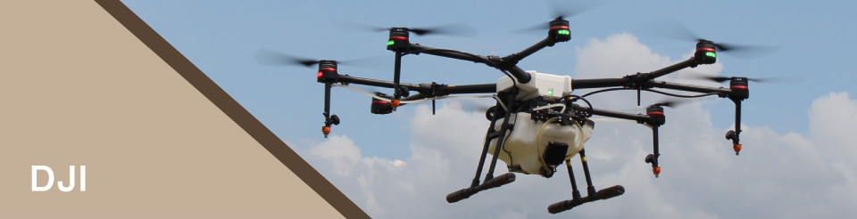 DJI