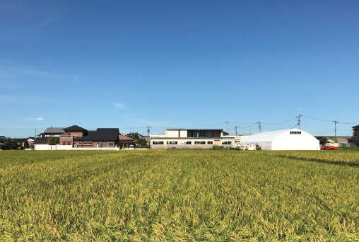 操作実技教習敷地